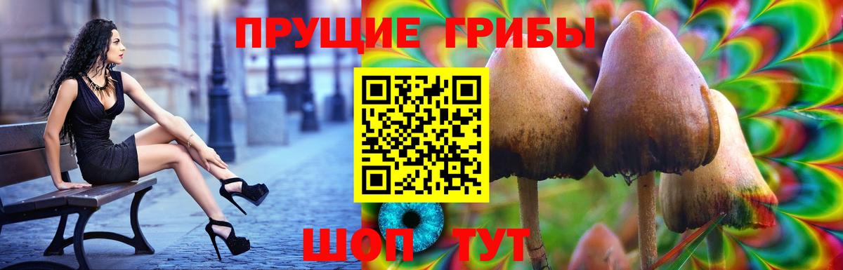 Галлюциногенные грибы Psilocybine cubensis  Вход с VPN  Псилоцибиновые грибы ЛСД  Россошь 